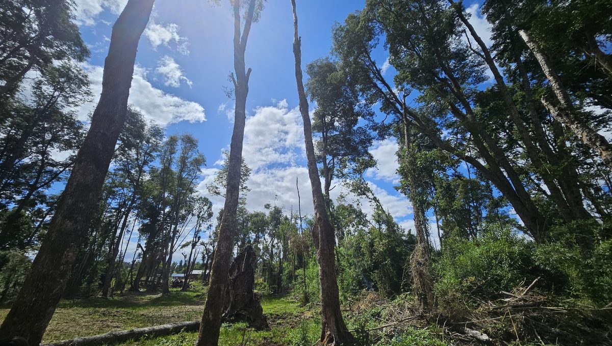 638f592f-ad55-4a7e-a03d-ed91b0426828