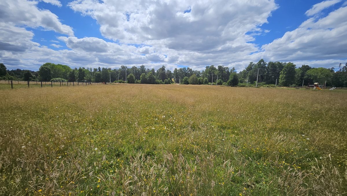 6e2315cd-da00-4372-a8ff-84cc9af29ff8