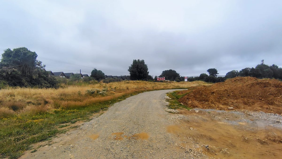 6f620194-d96b-43d2-af70-b13ba587b063