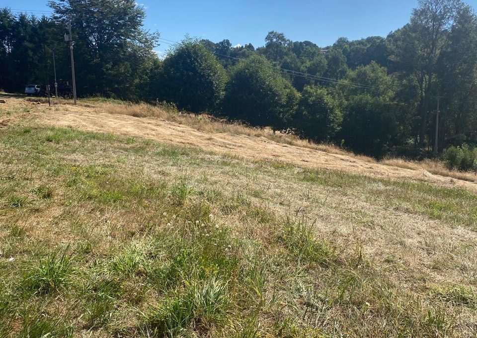 754bd42b-727e-4383-9b79-7e0e7398d24b