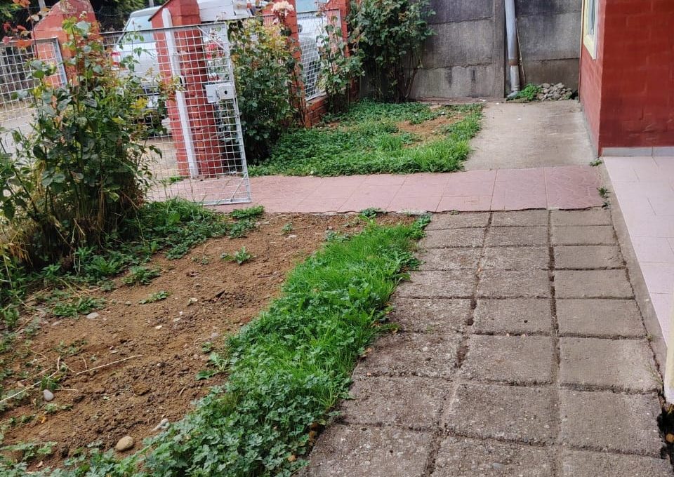 784153d4-aba6-4b3f-824d-423ec49466e8