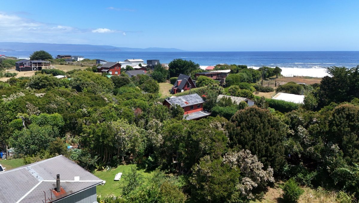 8d782f11-5114-40f9-a076-cee47bb1ed36