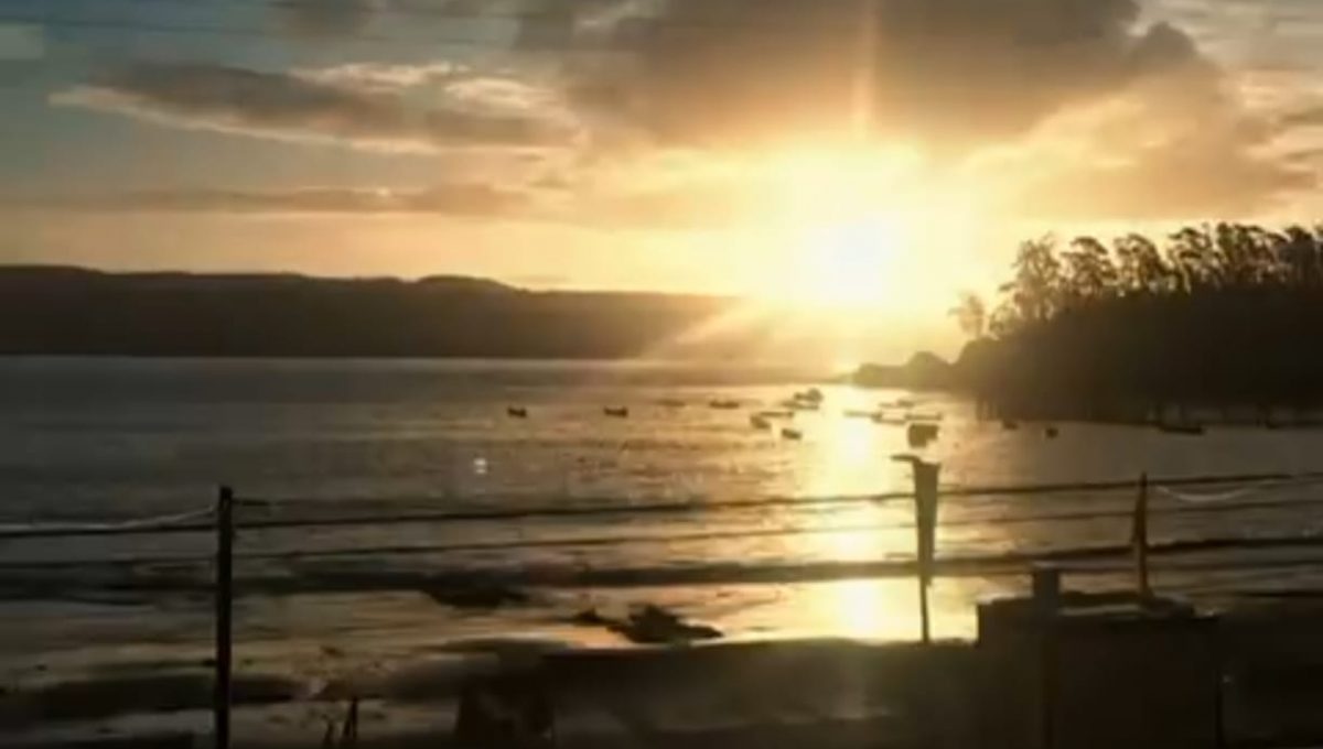 9286b869-0bc4-4985-a853-060075c6cc64