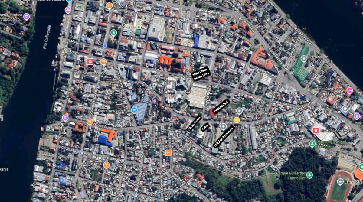 WhatsApp Image 2026-01-16 at 16.37.08