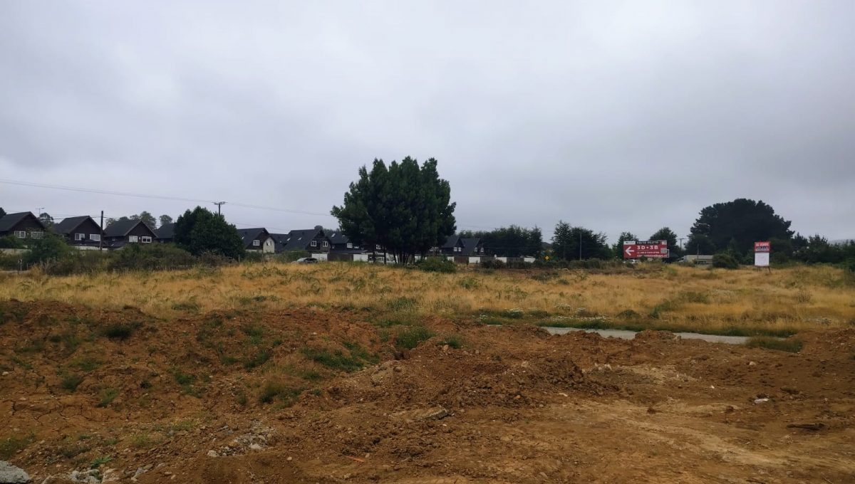 c7166a79-150c-426c-bebd-71d9be4f952b