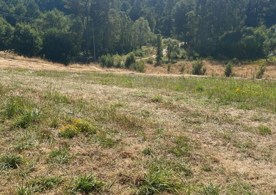 cb12bfc0-00d0-4257-87b8-f359a1712614