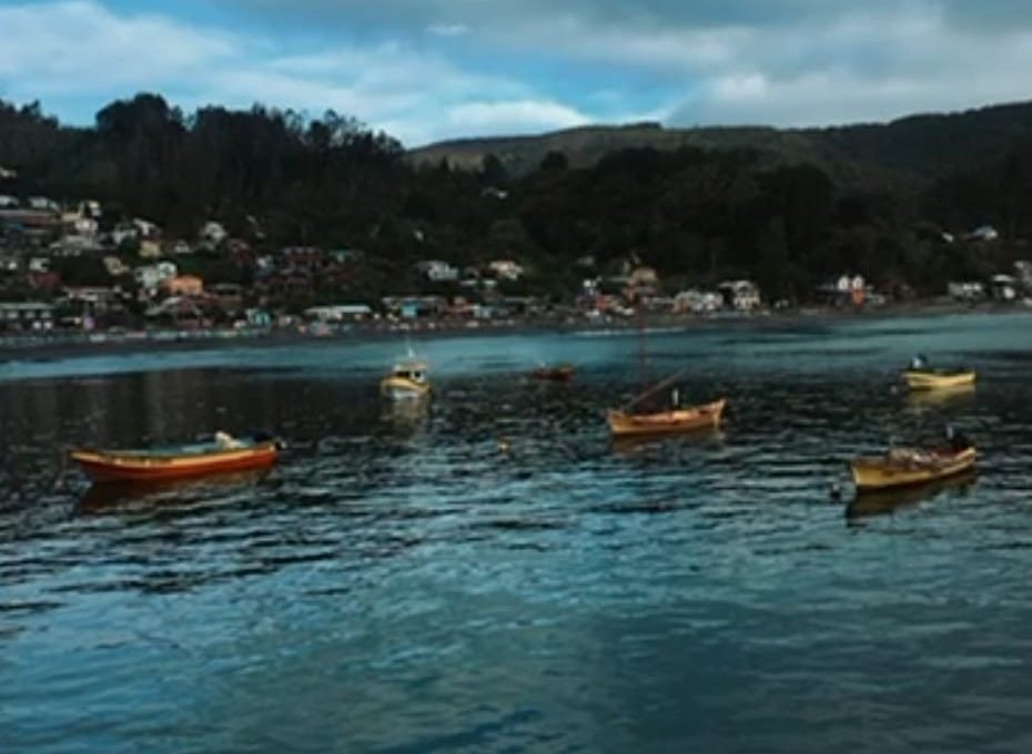 d506b704-80c6-49ef-8d9c-092cc8a7d475