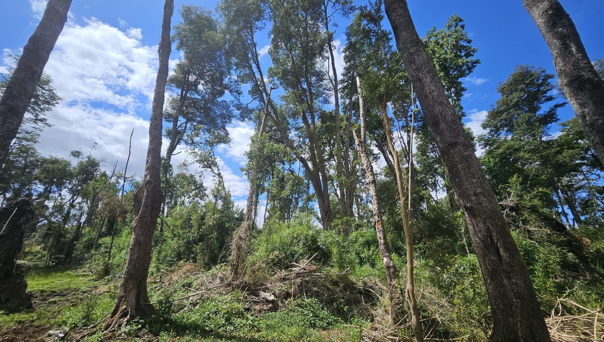 f2476121-309c-4965-a10e-0bc50dc880ee