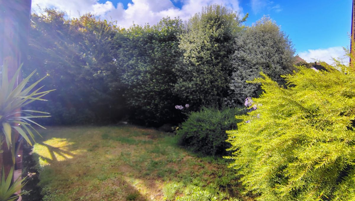 04bf5465-191d-4d50-8f68-ca3378c338df