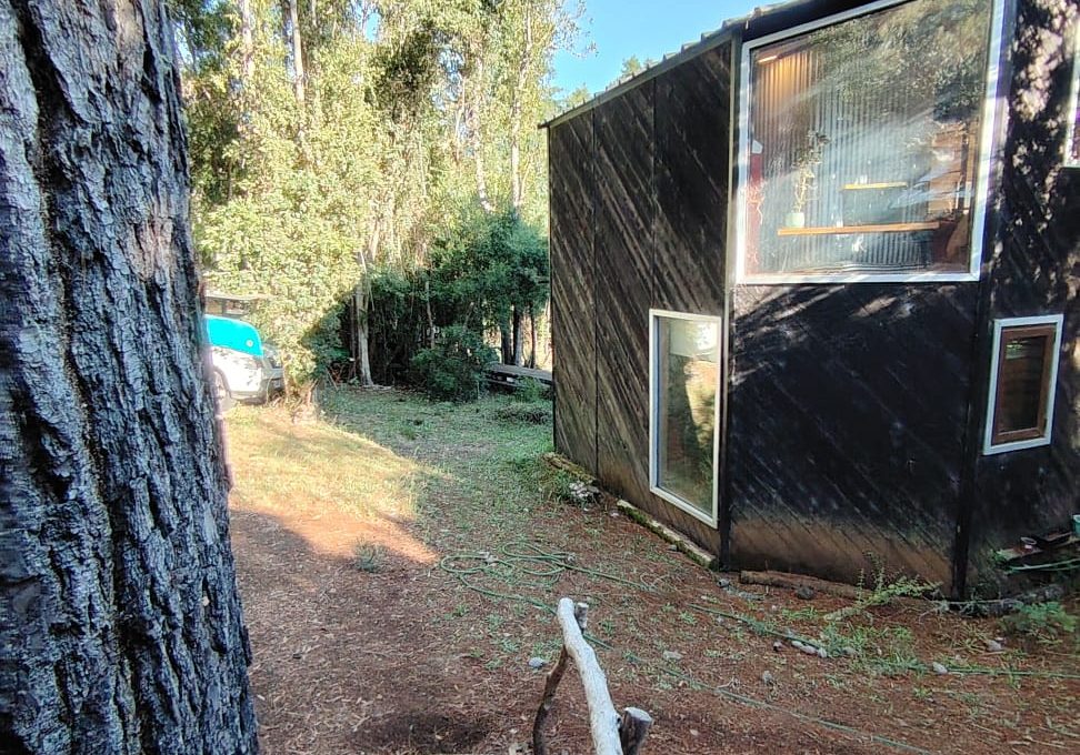 45fdc0a3-d1b8-46e1-aeb1-e7291d8c4019