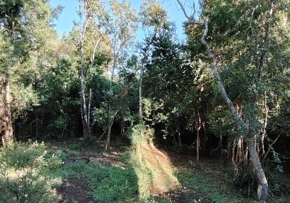 7429fa6d-7b23-44ab-af34-fb04ab19c5a5