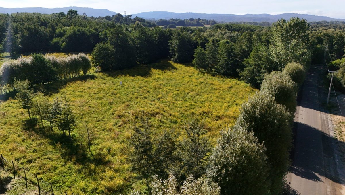 WhatsApp Image 2026-02-05 at 13.43.32 (1)