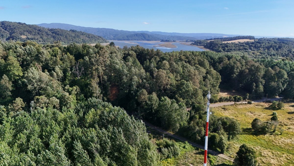 WhatsApp Image 2026-02-05 at 13.43.32