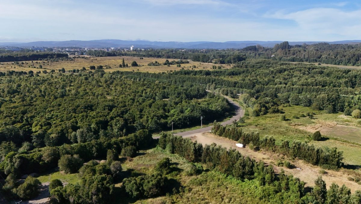 WhatsApp Image 2026-02-05 at 13.43.33 (1)