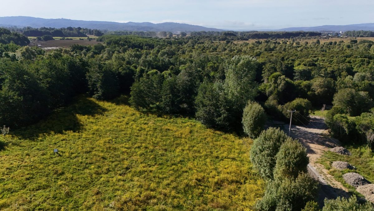 WhatsApp Image 2026-02-05 at 13.43.33