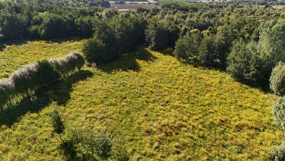 WhatsApp Image 2026-02-05 at 13.43.33 (2)