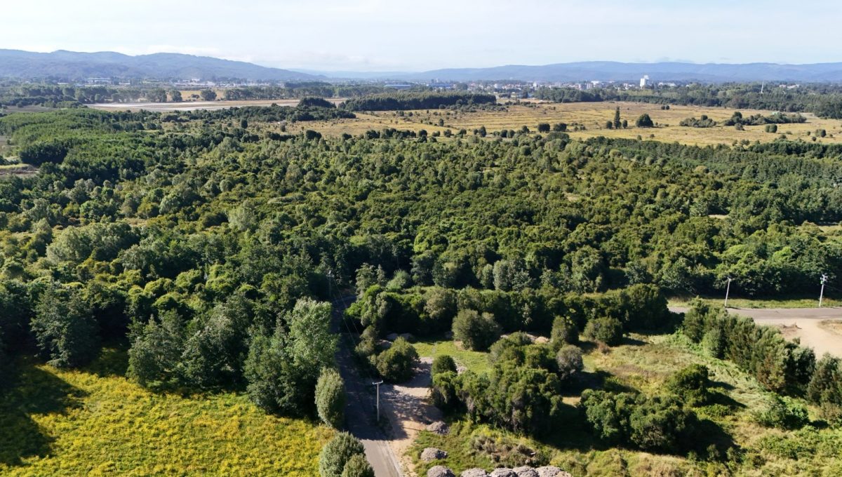 WhatsApp Image 2026-02-05 at 13.43.34 (6)