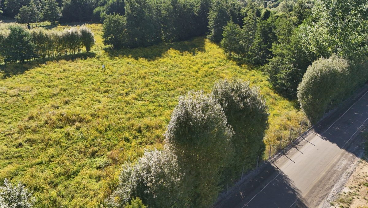 WhatsApp Image 2026-02-05 at 13.43.34 (7)