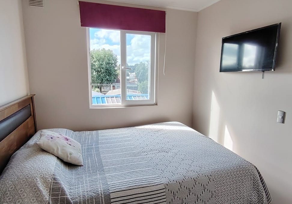 WhatsApp Image 2026-02-10 at 11.31.11 (1)