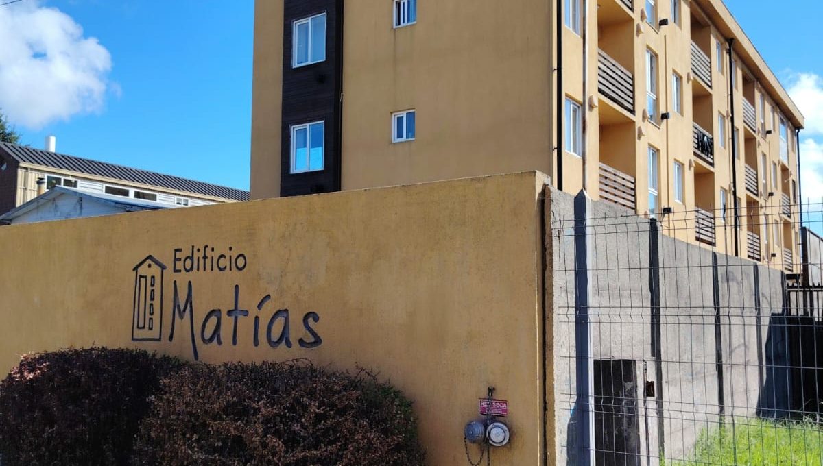 WhatsApp Image 2026-02-10 at 11.37.33