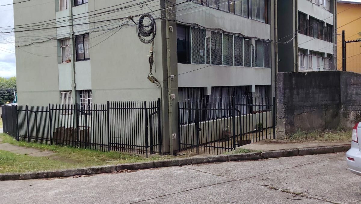 WhatsApp Image 2026-02-10 at 17.59.58