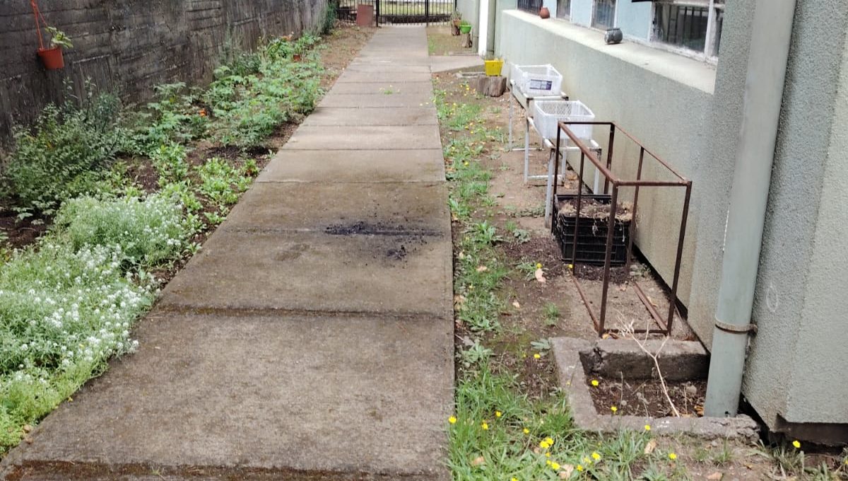 WhatsApp Image 2026-02-10 at 17.59.58 (3)