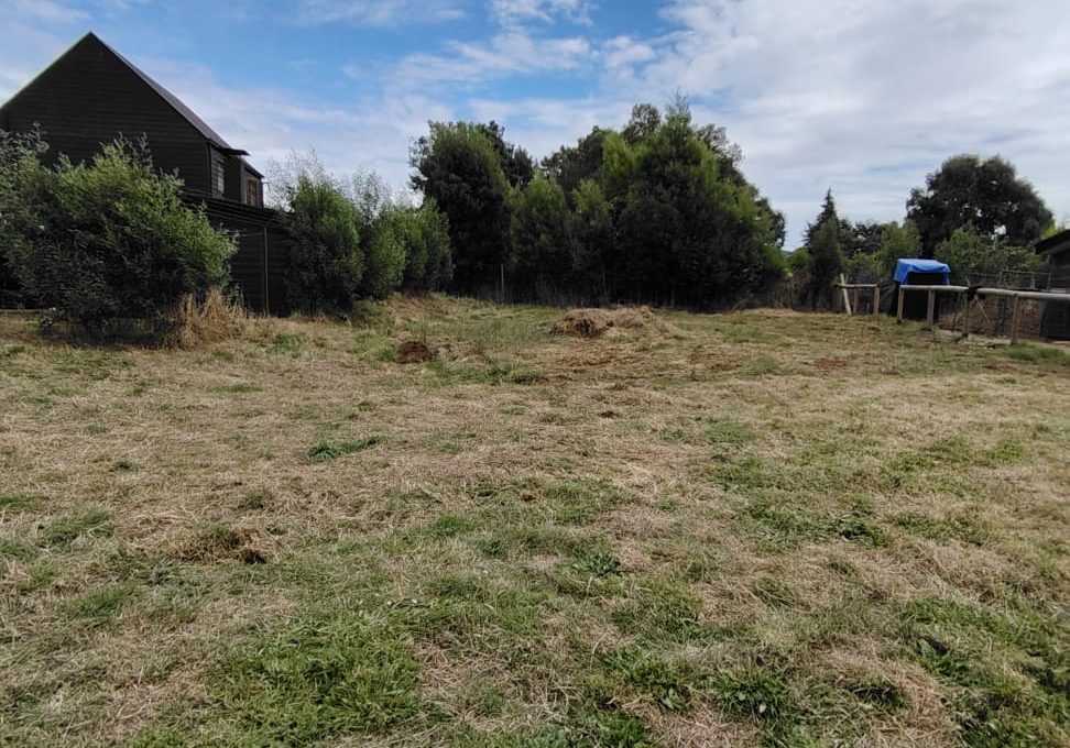 WhatsApp Image 2026-02-13 at 15.29.41