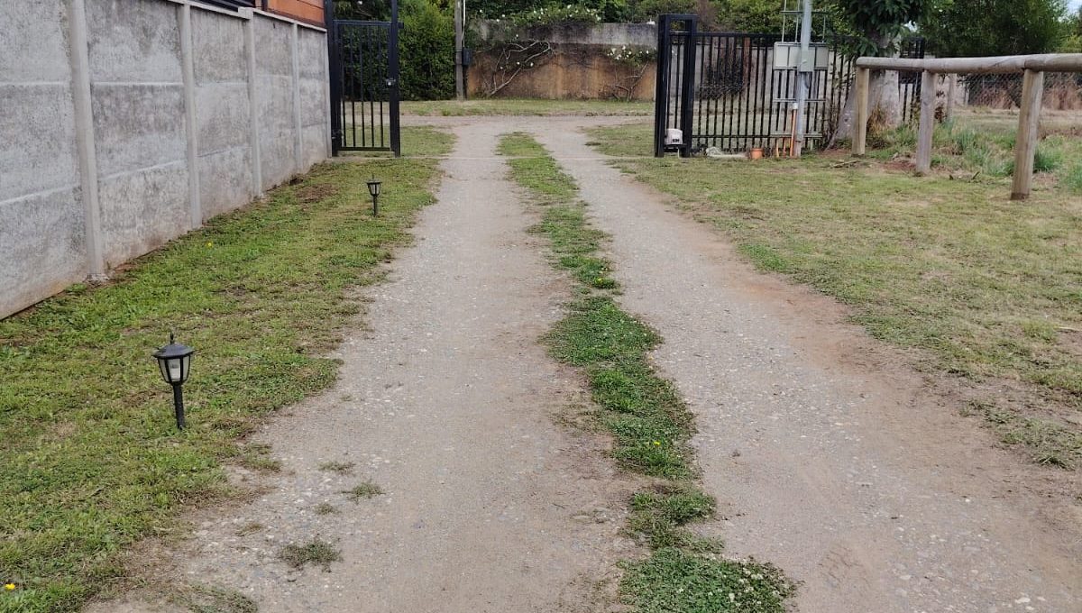 WhatsApp Image 2026-02-13 at 15.29.44