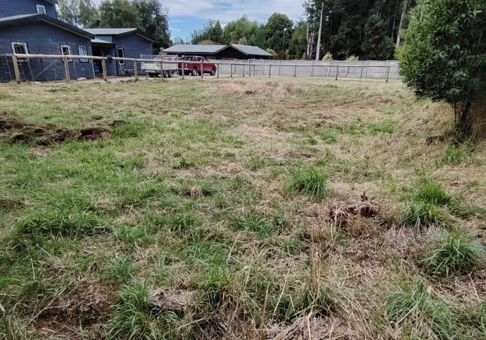 WhatsApp Image 2026-02-13 at 15.55.58