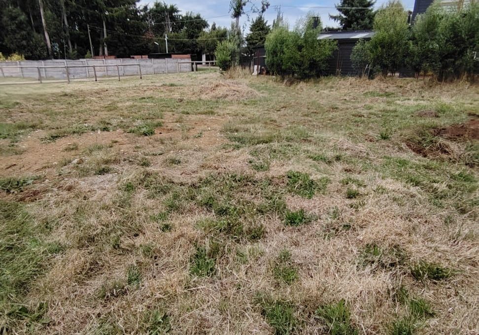 WhatsApp Image 2026-02-13 at 15.55.59