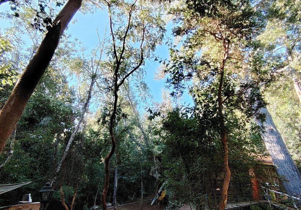 c04e6c01-342f-469f-bd74-0ed87b0b1821