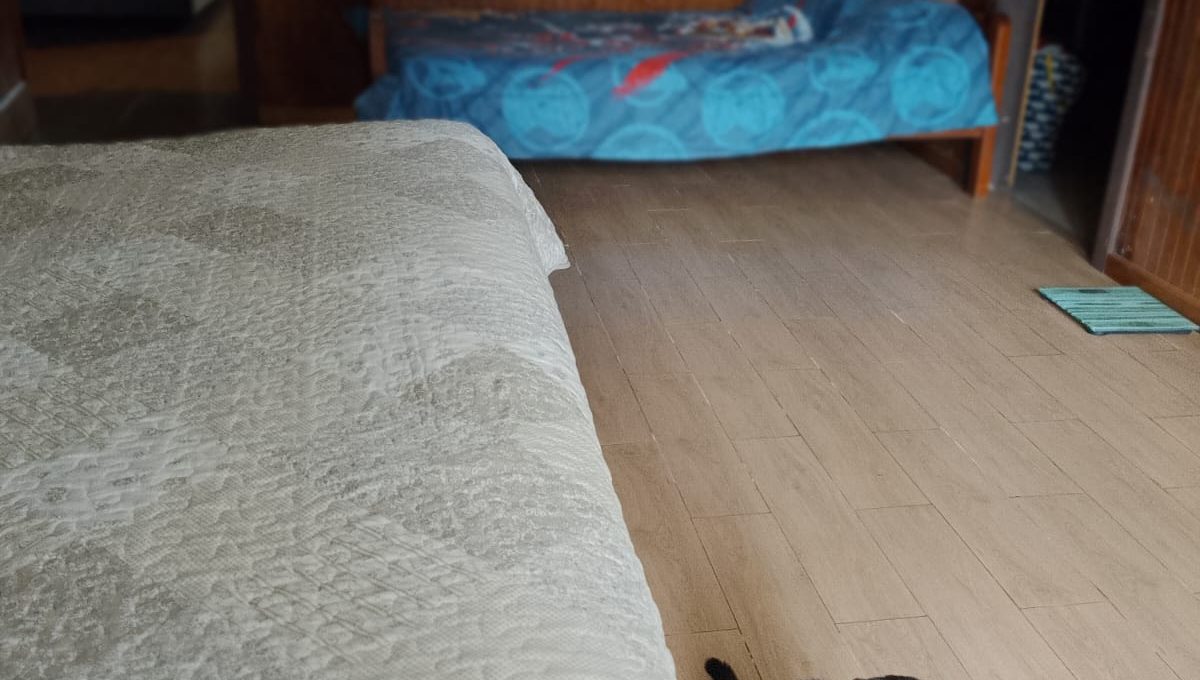 c6d7d353-a13e-433e-abec-caa0c95059dd