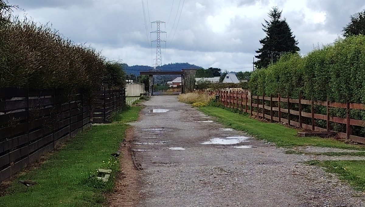 ec294777-2406-4959-b395-7347c1f39263