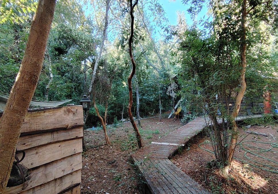 f929ae27-2db3-4871-a880-2c9719010bf9