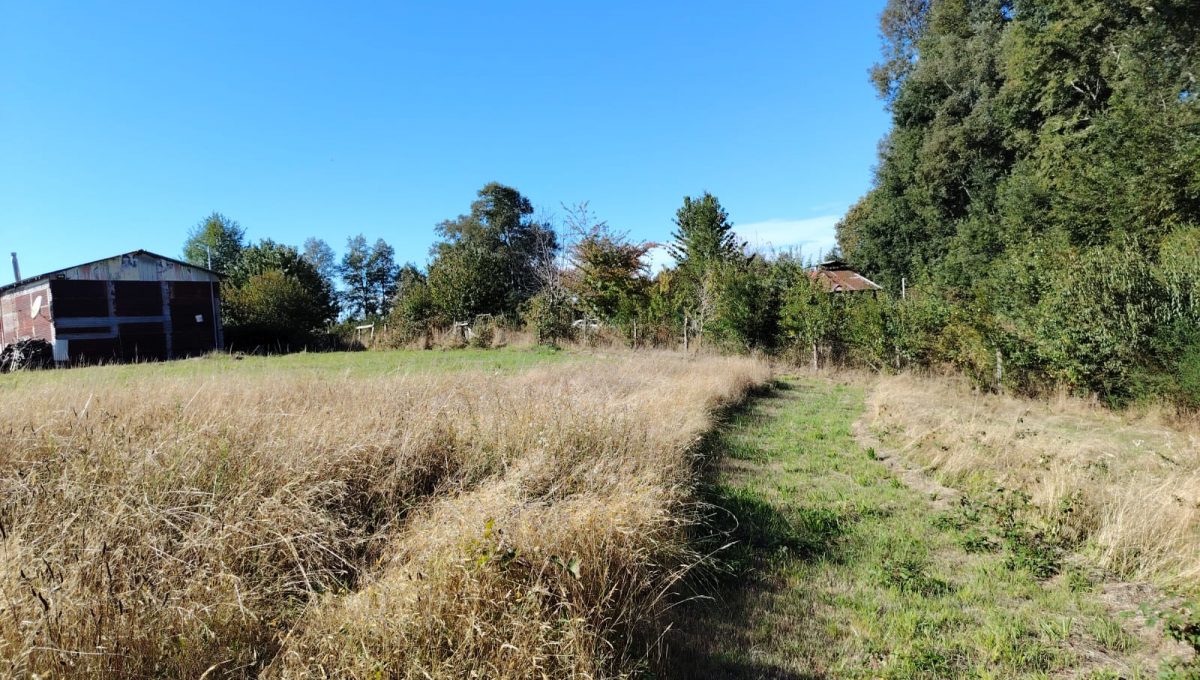 0482b68d-292c-4246-959a-c265ea257768