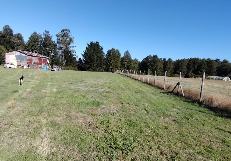 26712581-cd32-41d8-9841-1e0402675dc7