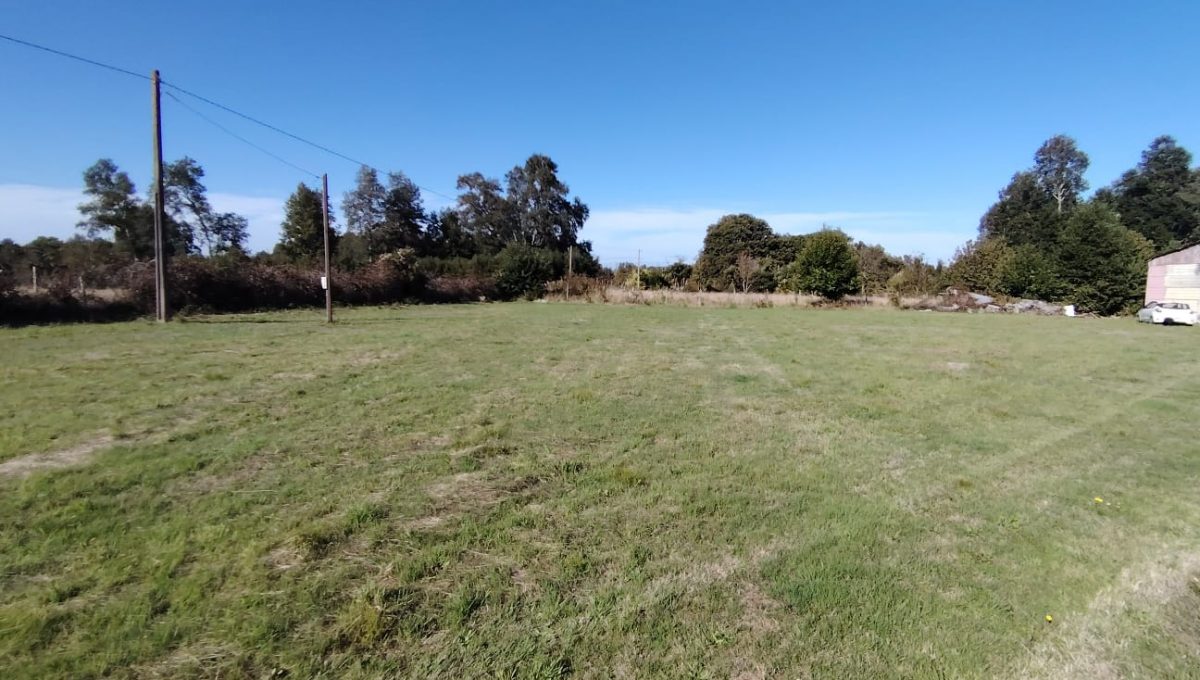 2987ec41-9f43-448b-88da-91c517f12068