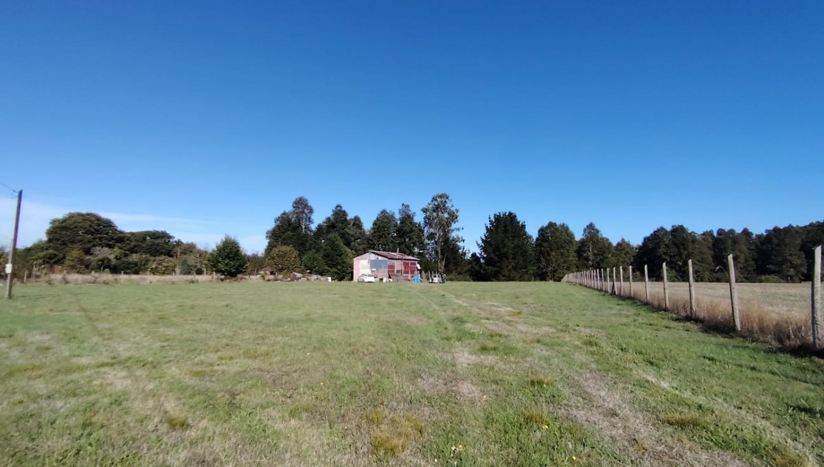 49730ced-3041-40e9-837d-2ce4ccdac971