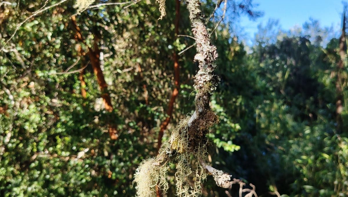 4c1e14c5-38b3-46cb-9e23-ef30082f3a25