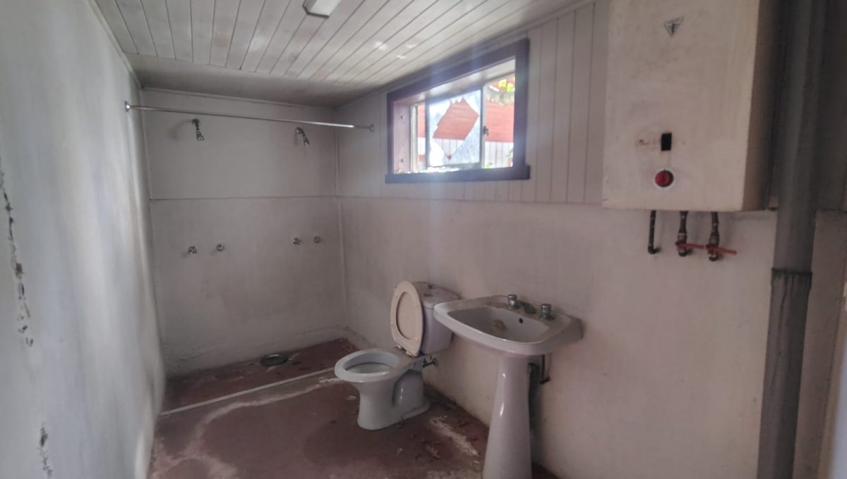 5559dff7-d8e3-44c8-8e33-95f4be50485e