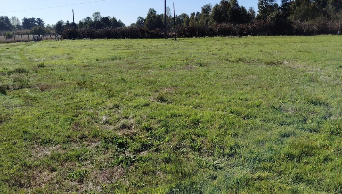 5be7a53a-1078-4fbc-ba0a-531a2e1e91e3