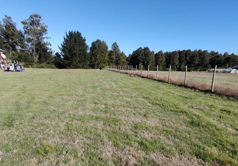 5c85d928-4348-451b-96a3-b552204fd75f