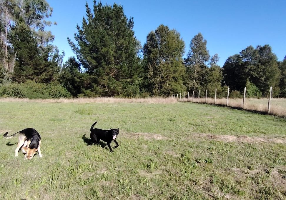 67a9921b-f47d-4645-889e-3fc2d3361d45