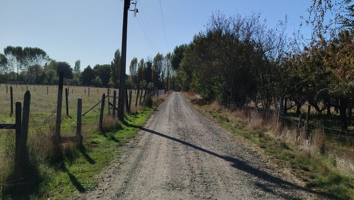 88ef233d-8b37-4a5e-ae3a-4c666300c7f5