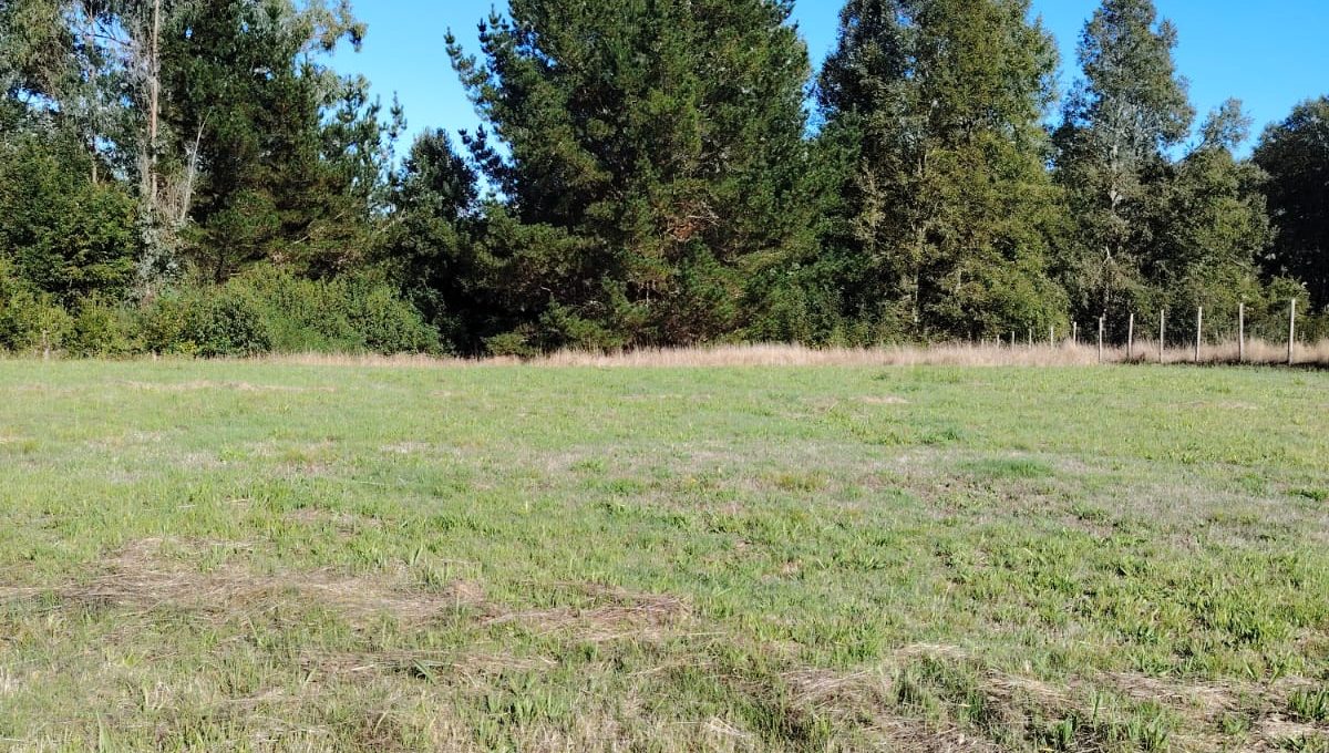 8e2fa995-359d-46a2-ba3b-b976c15ae828