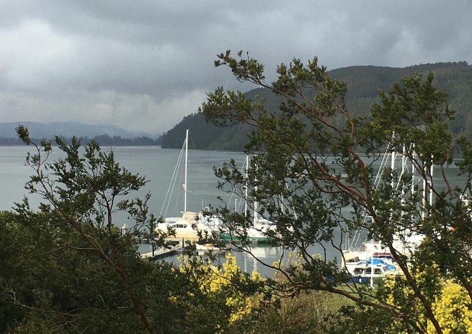 WhatsApp Image 2026-03-24 at 12.41.19 (1)