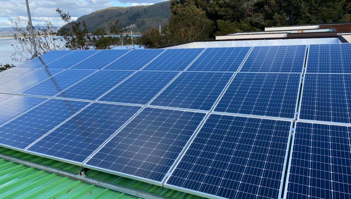 WhatsApp Image 2026-03-24 at 12.41.22 (2)