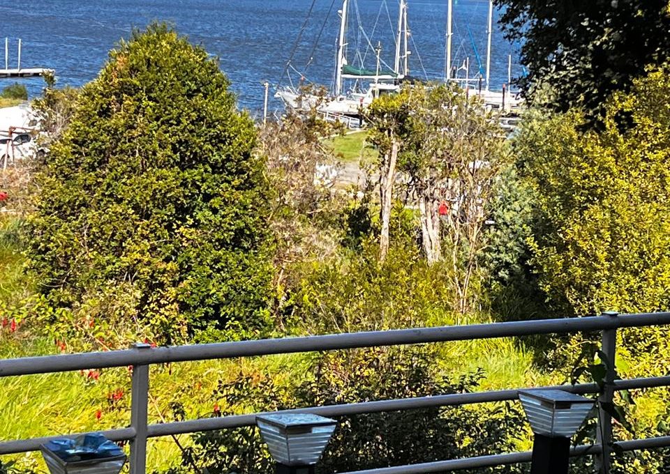 WhatsApp Image 2026-03-24 at 12.41.26