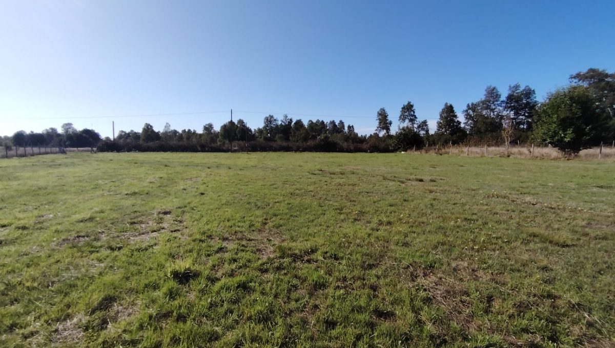 dce75e51-5695-41ae-9669-895dfd979d3b