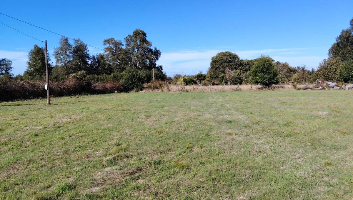 e17bfe46-e28c-4991-8e42-2c22c943d5bd